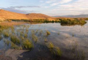 ورود بیش از ۸ میلیون مترمکعب آب به تالاب‌های کانی برازان و قوپی‌باباعلی مهاباد