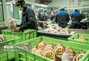 قیمت کارشناسی مرغ اعلام شد