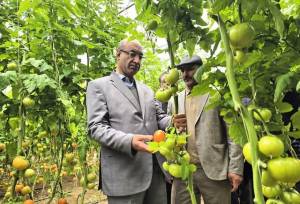 استاندار کرمانشاه: توسعه کشت‌های گلخانه‌ای یک ضرورت در استان است