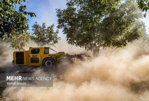 بهره‌برداری از باغ مدرن گردو و سامانه شیردوشی روتاری در خرمدره