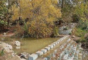 تهران در آستانه تحول سبز؛ بهره‌برداری از ۳ بوستان جدید شهری