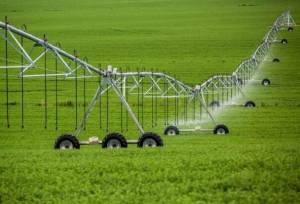 شمسی: ۴۸ درصد اراضی مستعد مرکزی به سامانه‌های نوین آبیاری مجهز شد