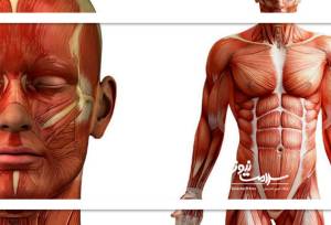 هشدارهای کمبود غذایی در بدن