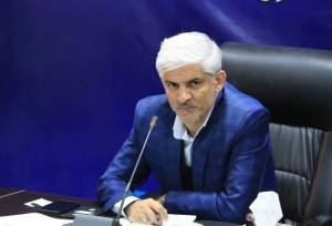 شهرداری‌ها برای جمع‌آوری سگ‌های بلاصاحب اقدام کنند