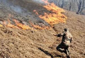 قمی: آتش‌سوزی در ۲ هکتار از اراضی جنگلی آستارا مهار شد  