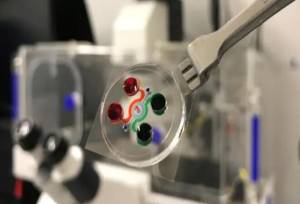 فراخوان معاونت علمی برای حمایت از شرکت‌های پیشرو در میکروالکترونیک