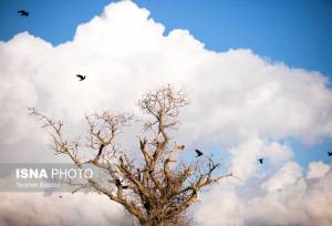 افزایش محسوس دما در گیلان تا ظهر پنجشنبه