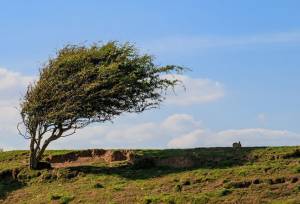 وقوع وزش باد شدید طی امروز و فردا در استان ایلام