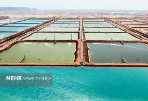 سرمایه‌گذاری ۱۳۰۰ میلیارد ریالی در طرح‌های شیلاتی سیریک