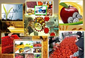 لرستان در آزمون توسعه؛ آیا نقشه‌راه و سرمایه ۴۰ همتی به ثمر می‌نشیند؟