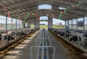 انعقاد تفاهم‌نامه احداث دامپروری ۲ هزار رأسی با حضور پزشکیان