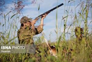 شناسایی عاملان شکار غیرمجاز پرندگان مهاجر در رشت