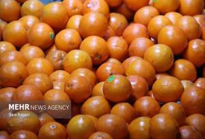 آغاز ذخیره‌سازی میوه تنظیم بازار شب عید در کرمانشاه