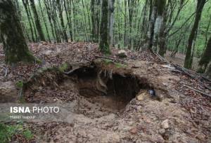 نهضت احیای منابع طبیعی در خراسان رضوی با گونه‌های مقاوم و مشارکت خیرین