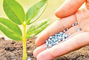 نظارت بر نهاده‌های کشاورزی تقویت می‌شود