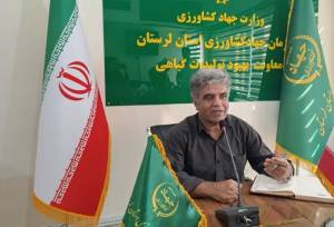 توسعه باغات شیبدار در لرستان با کاشت بادام و زیتون