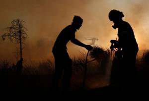 هشدار افزایش دما و وزش باد در شمال؛ احتمال وقوع آتش‌سوزی در جنگل‌ها