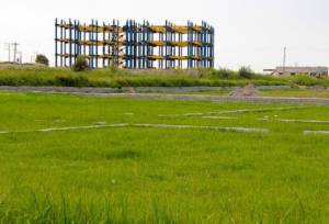 تغییر عجیب کاربری اراضی کشاورزی در جنوب کشور