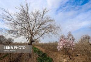 پایداری هوای گیلان تا پس فردا