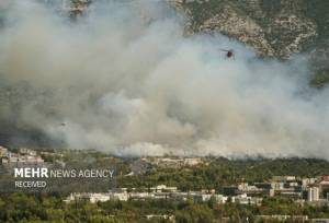 وقوع چند فقره حریق در مازندران؛ علل آتش سوزی انسانی است