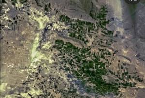 مطالعه پژوهشگر ایرانی دانشگاه تربیت مدرس جهانی شد؛ علفزارها مخزن کربن