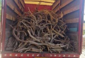 کشف محموله قاچاق تاغ در بسطام؛ خودرو سواری توقیف شد