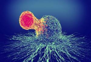 انکار بیماری مانع مهم درمان به‌موقع سرطان است