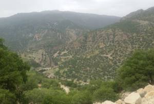 ۳۳۸متر از اراضی منطقه حفاظت شده مله گاله شیراز رفع تصرف شد