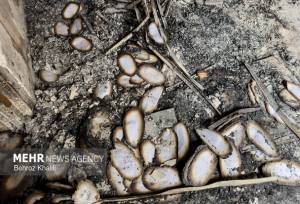 جشن نیمه شعبان در مسجد سوخته فاطمیه