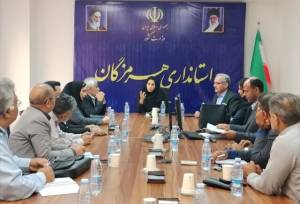 نمایشگاه‌داران خودرو در اولویت انتقال از سطح شهر بندرعباس