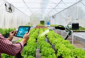 ۱۰ درصد گلخانه‌های همدان مدرن هستند