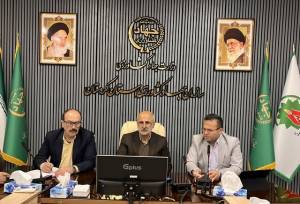 سال زراعی جاری در غرب کشور با ریسک بالای سن‌زدگی گندم مواجه است