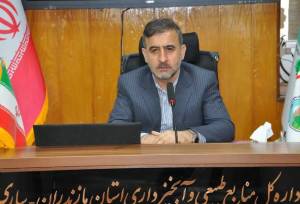  تولید ۶ میلیون نهال برای احیای جنگل‌های هیرکانی