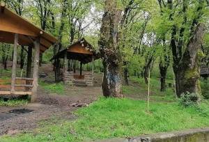 چه خبر از پروژه پارک جنگلی سراب قنبر کرمانشاه؟