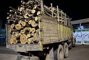 توقیف محموله چوب غیرمجاز در محور نمین - اردبیل