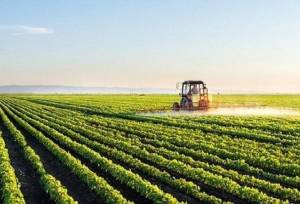 رفع تنگناهای فناورانه برای کاهش وابستگی در حوزه غذا و کشاورزی