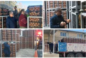 ذخیره‌سازی میوه شب عید و خرمای رمضان در کرمانشاه تشدید شد