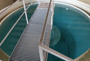 تولید ۲۷ میلیون متر مکعب آب شرب در خوی