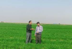 تولید ۵ تُن بذر مرتعی در تنها ایستگاه تولید بذر همدان