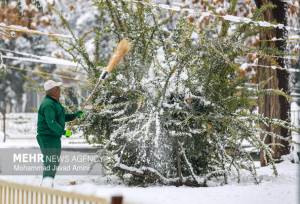 هشدار سطح زرد هواشناسی در استان زنجان صادر شده است