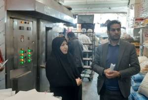 تشکیل ۶۳ پرونده در طرح نظارتی ماه رمضان و نوروز در همدان