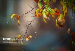 ورود سامانه بارشی به زنجان؛ هشدار زرد هواشناسی صادر شد