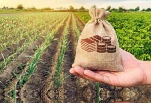 پوشش ۱۴۰ هزار اصفهانی در صندوق بیمه اجتماعی کشاورزان و روستاییان