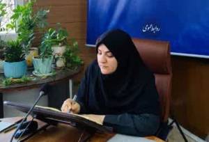 تحقق ۸۹ درصدی درآمدهای عمومی لرستان تا ۲۵ بهمن‌ماه