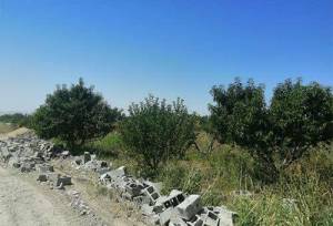 اجرای بیش از ۸۲۷ حکم قلع‌ و قمع در اراضی کشاورزی شهرستان ارومیه