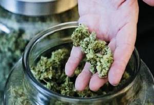 کشف ۴۷ کیلوگرم مواد مخدر «گراس» در بندرعباس