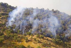 آتش در جنگل‌های هیرکانی خیبوس سوادکوه مهار شد