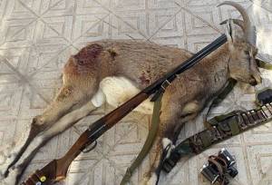 ۴۰ سال حبس برای سه شکارچی حیات‌وحش در چهارمحال‌وبختیاری