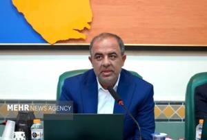 ثبت‌نام ۱۵۷ داوطلب انتخابات شورای روستاها در شهرستان بوشهر