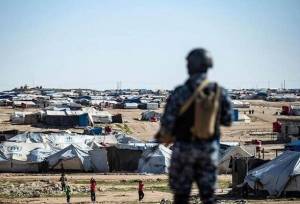 عراق: داعشی‌های منتقل شده از سوریه به کشورهایشان بازمی‌گردند